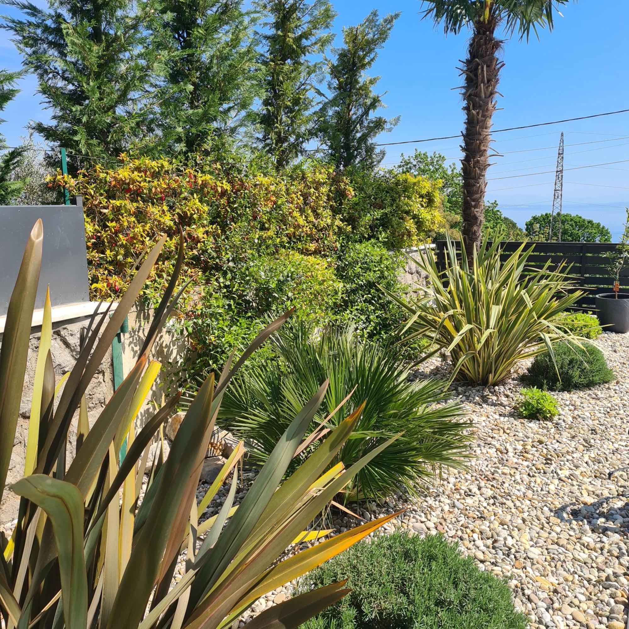 Villa Adriatic, Apartment Enio With Swimming Pool, Panoramic Sew View, Free Parking Ічичі Екстер'єр фото